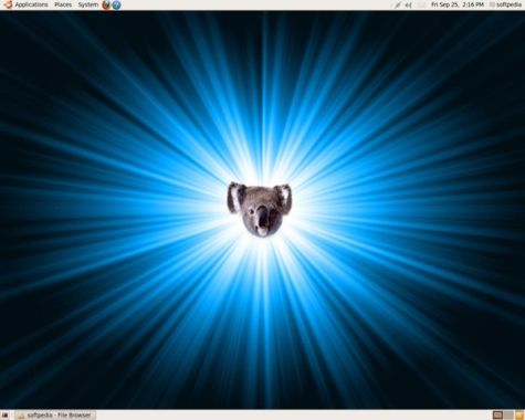 Ubuntu-Karmic Koala-9.10-Released
