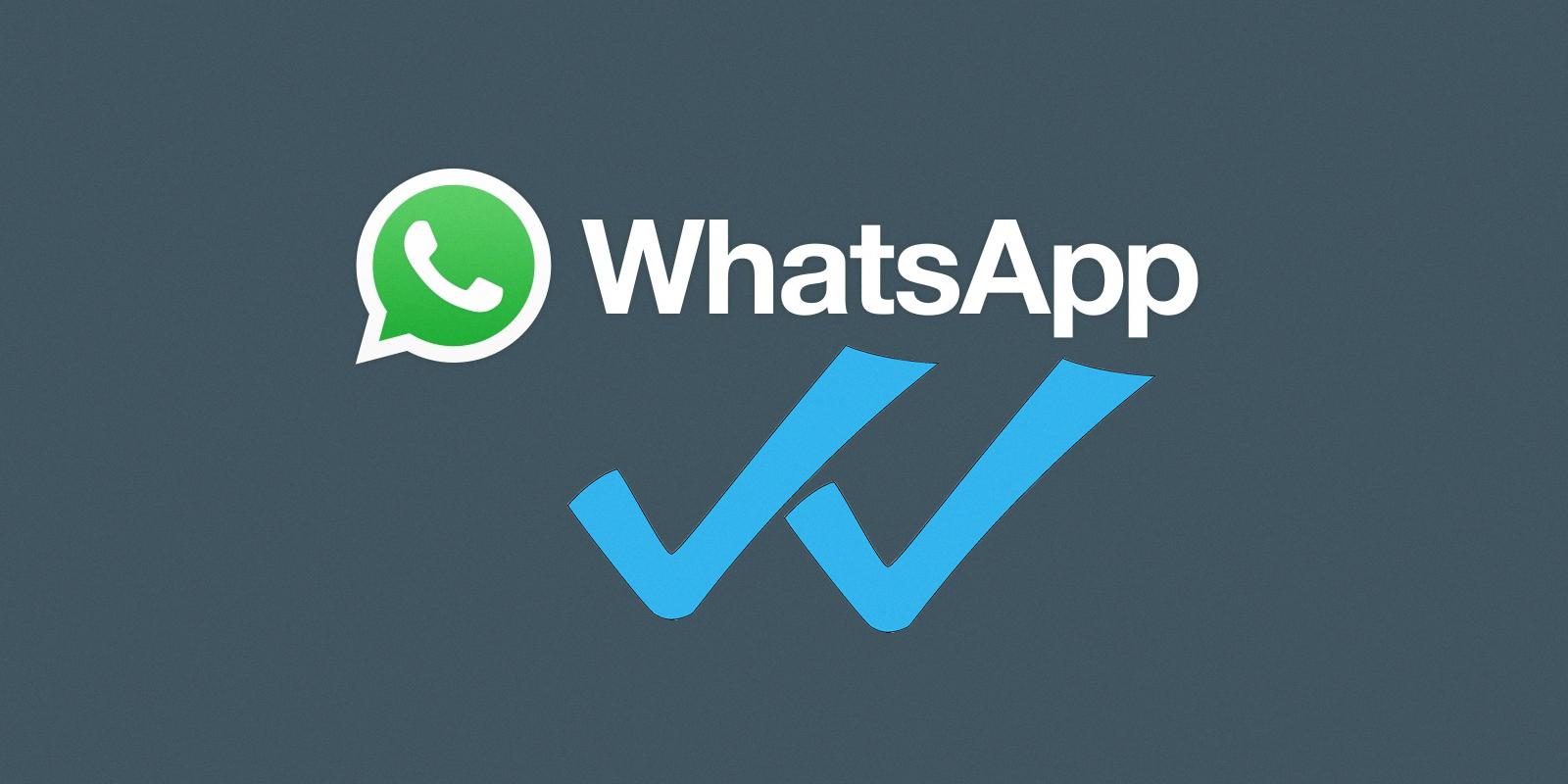 blue check marks on whatsapp blue check marks on whatsapp