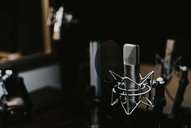 How to Use VSTs Plugin with GarageBand 6 How to Use VSTs Plugin with GarageBand 5