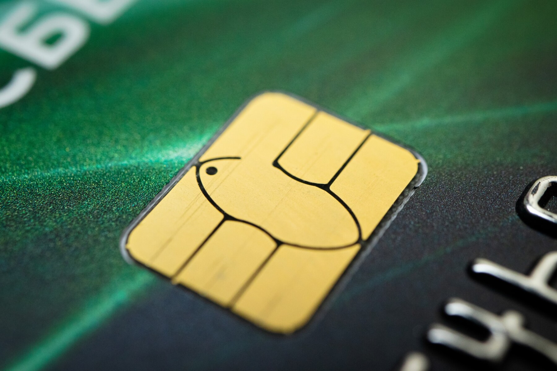 GoBank Card Guide & FAQ 1 card