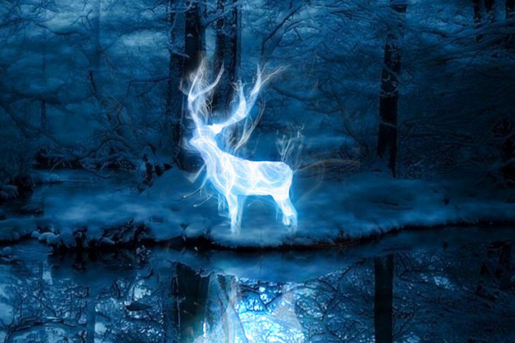 Everything you need to know about Patronus Test 2 Everything you need to know about Patronus Test 1