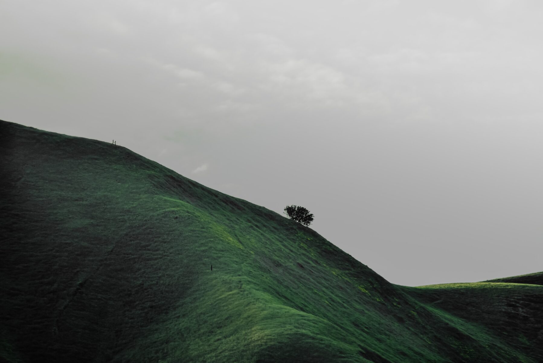 Steepness of the Slope: What Does It Mean? 1 slope