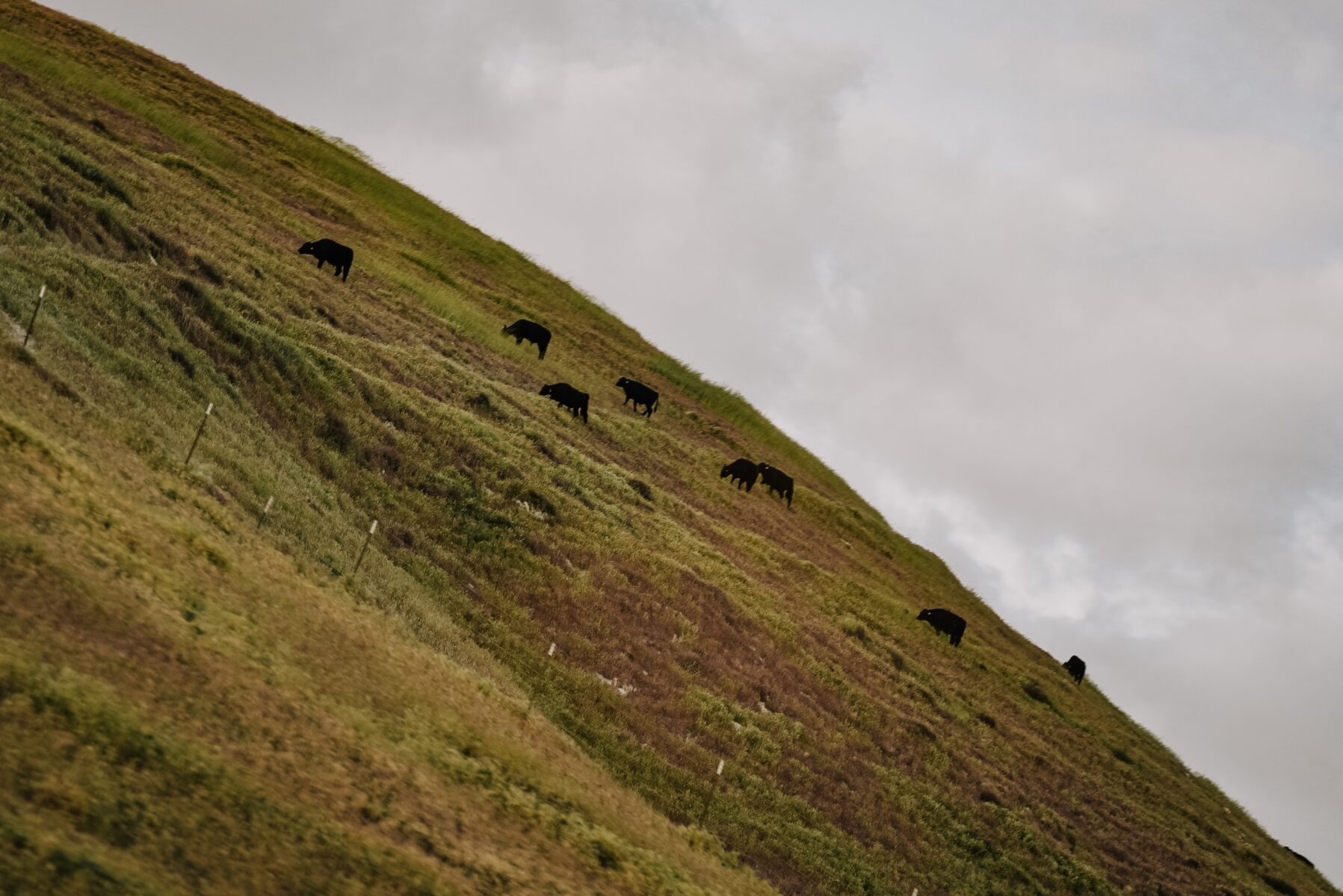 Steepness of the Slope: What Does It Mean? 2 slope