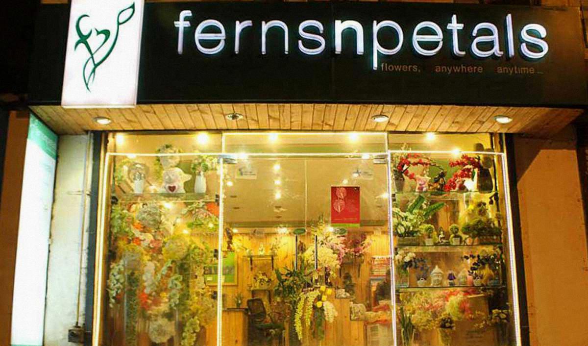ferns and petals ferns and petals