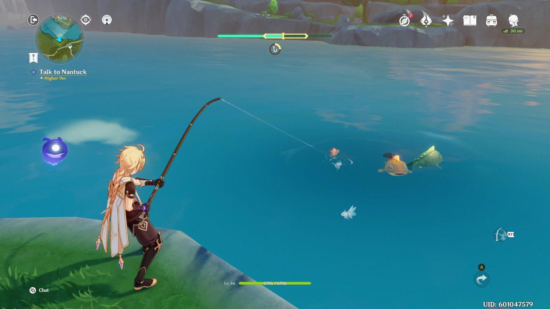 how often do fish respawn genshin how often do fish respawn genshin