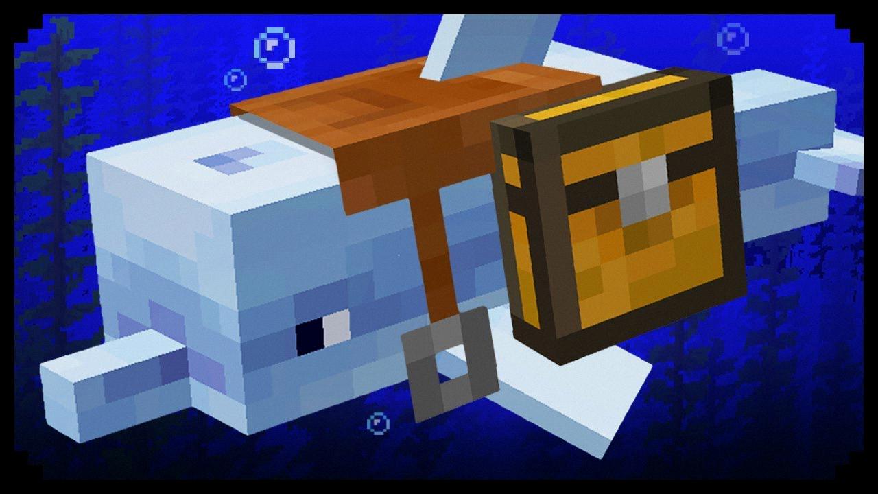 what do dolphins eat in minecraft what do dolphins eat in minecraft