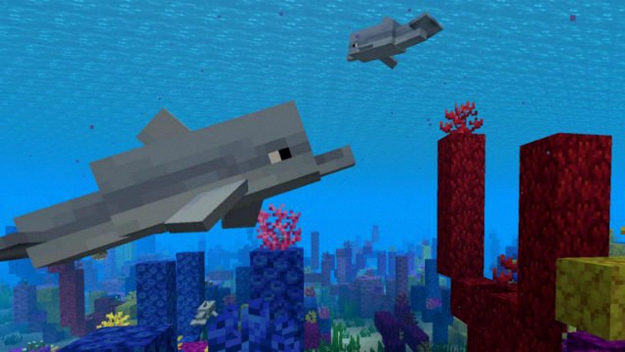 what do dolphins eat in minecraft what do dolphins eat in minecraft