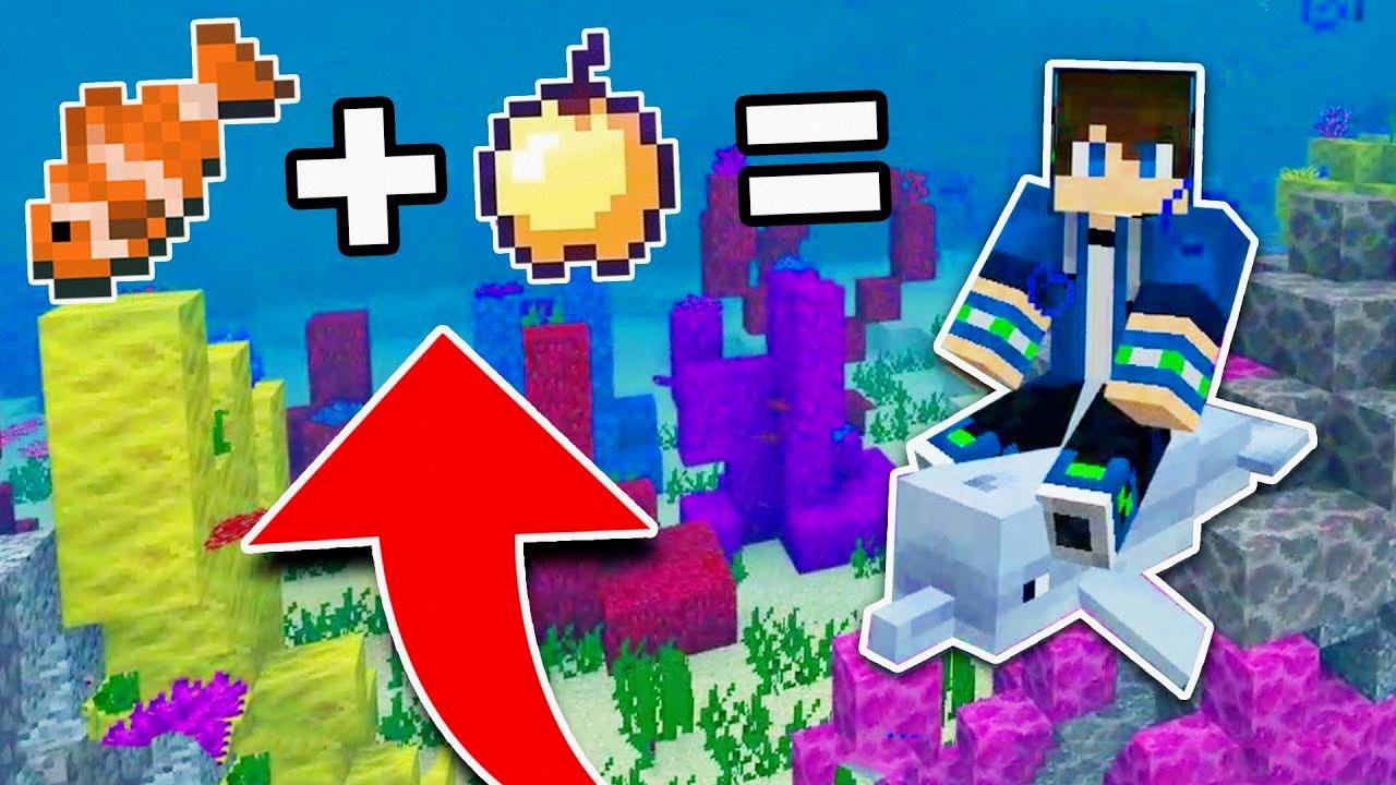 what do dolphins eat in minecraft what do dolphins eat in minecraft
