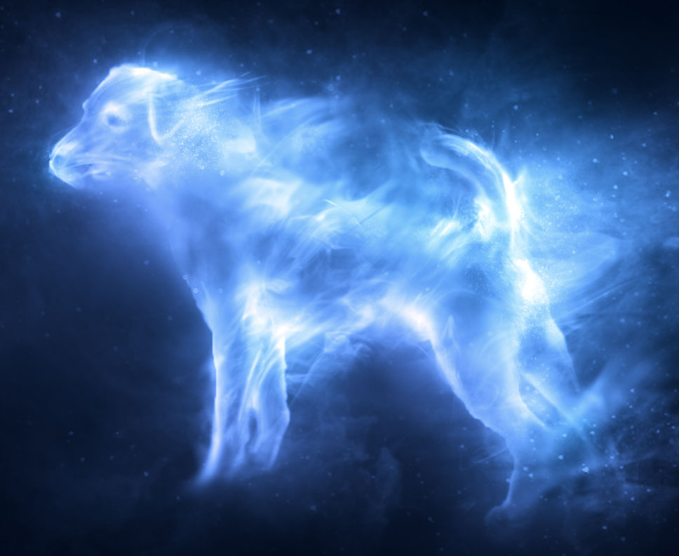 What Your Pottermore Patronus Says About You ? 1 patronus