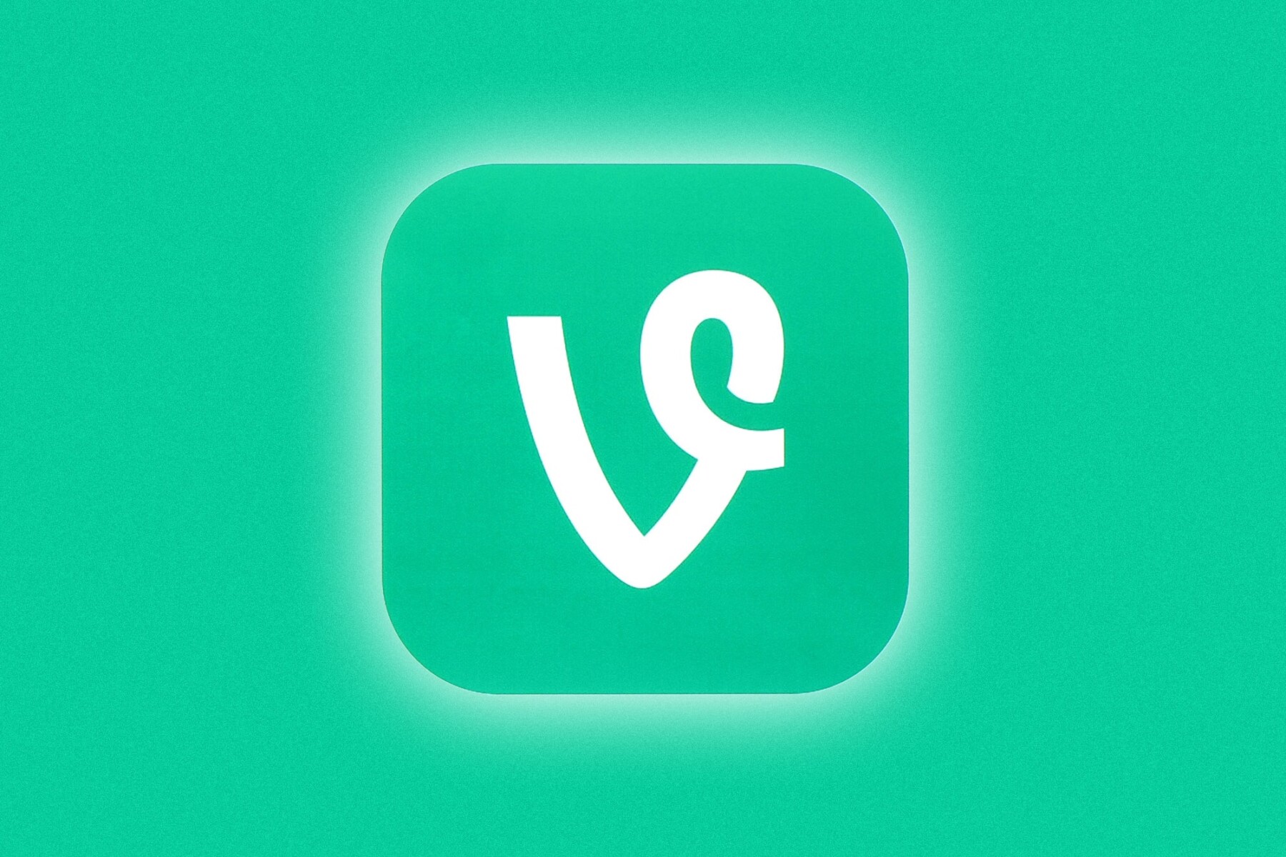 What Happened To Vine ? 1 vine