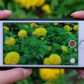 How to Remove Sound From Your iPhone Video 6 How to Remove Sound From Your iPhone Video 5