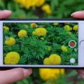 How to Speed Up Videos on iPhone 4 How to Speed Up Videos on iPhone 3