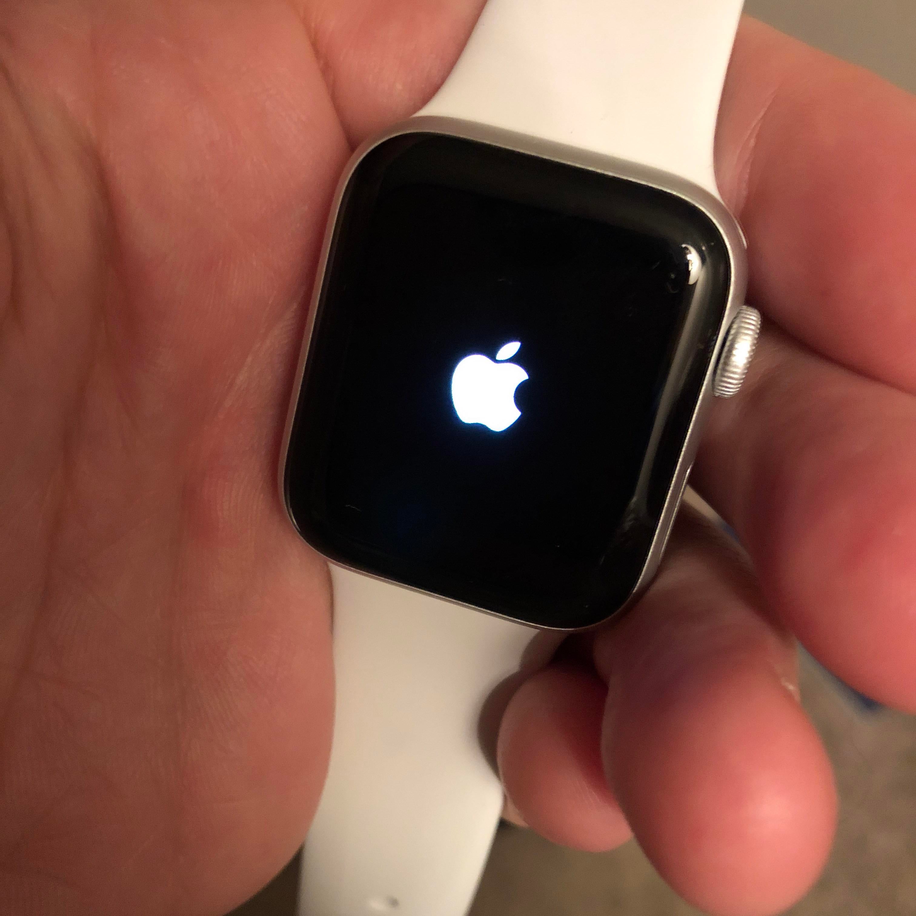 Solving the Mystery of a Bricked Apple Watch 12 Solving the Mystery of a Bricked Apple Watch 11