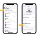 How To Find Apple Id On Iphone 11 12 How To Find Apple Id On Iphone 11 11