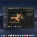 How to Organize Your Photos and Videos on Mac with Finder Gallery View 12 How to Organize Your Photos and Videos on Mac with Finder Gallery View 11