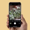 How to Capture HDR Photos on Your iPhone 12 How to Capture HDR Photos on Your iPhone 11