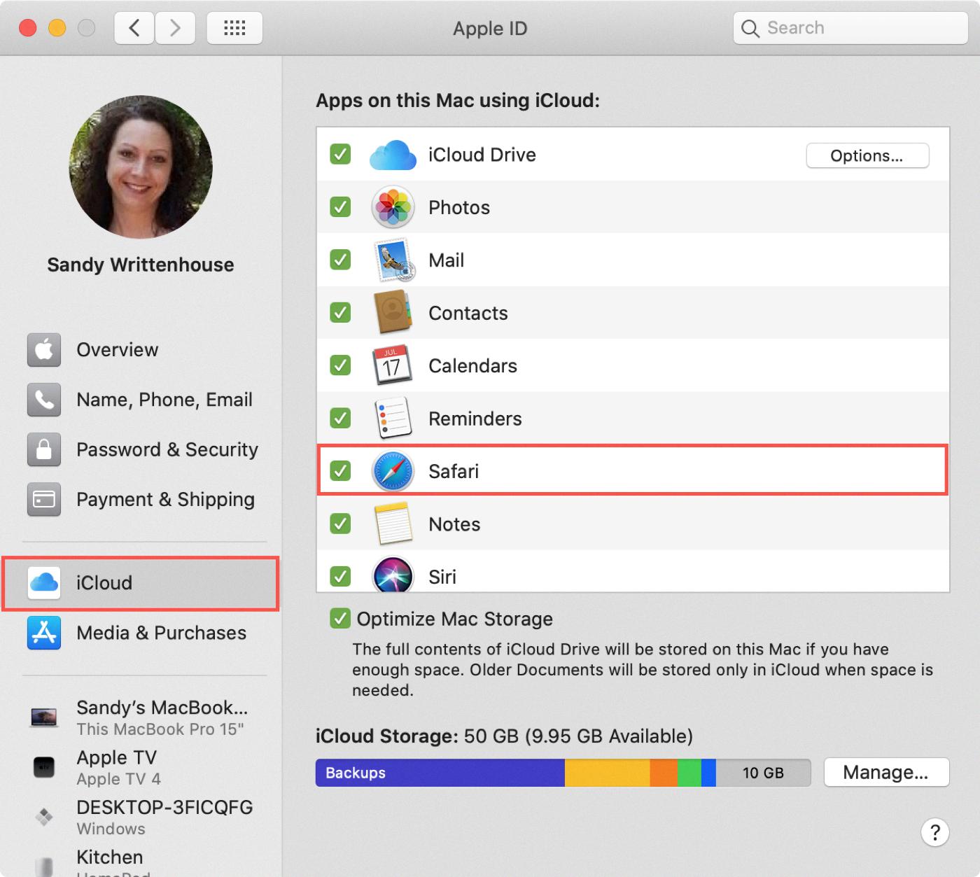 how to delete safari history from icloud how to delete safari history from icloud
