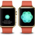 How To Install Breathe App On Apple Watch 22 How To Install Breathe App On Apple Watch 21