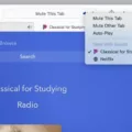 How To Mute Safari On Your iPhone, iPad, or Mac Computer 18 How To Mute Safari On Your iPhone, iPad, or Mac Computer 17