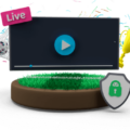 How to Stream the FIFA World Cup Anywhere with a VPN 9 How to Stream the FIFA World Cup Anywhere with a VPN 8