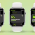 How To View Workouts On Apple Watch 16 How To View Workouts On Apple Watch 15