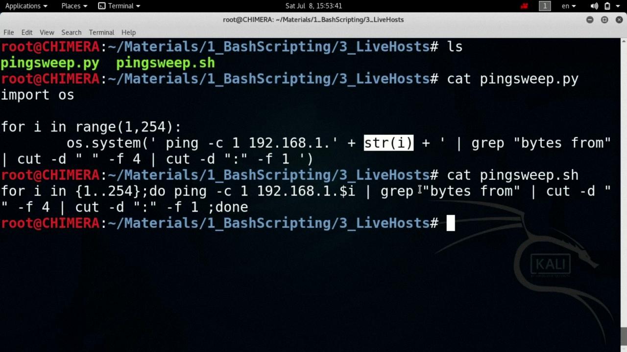 pingsweep pingsweep