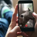 How to Easily Remove Time Lapse from Your iPhone Videos? 16 How to Easily Remove Time Lapse from Your iPhone Videos? 15