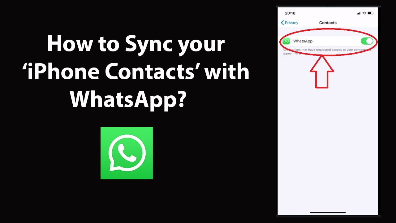 How to Easily Sync Your iPhone Contacts with WhatsApp? 2 How to Easily Sync Your iPhone Contacts with WhatsApp? 1