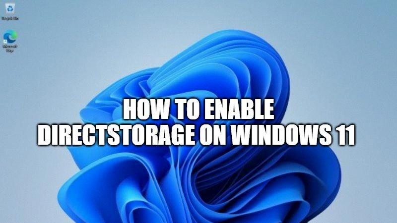 enable direct storage enable direct storage