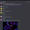 How to Get Someone's Discord ID? 14 How to Get Someone's Discord ID? 13