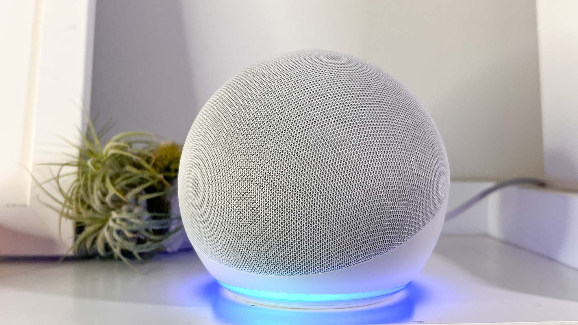 How to Set Up Your Alexa Echo Dot Without an App? 2 How to Set Up Your Alexa Echo Dot Without an App? 1