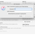 All You Need to Know About iTunes Backups Password 6 All You Need to Know About iTunes Backups Password 5