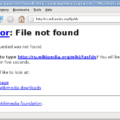 How to Troubleshoot HTTP 404 File Not Found? 11 How to Troubleshoot HTTP 404 File Not Found? 10