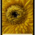How to Delete Permanently Recently Deleted Photos on iPhone? 8 How to Delete Permanently Recently Deleted Photos on iPhone? 7