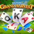 How to Play Solitaire on Your Chromebook? 10 How to Play Solitaire on Your Chromebook? 9