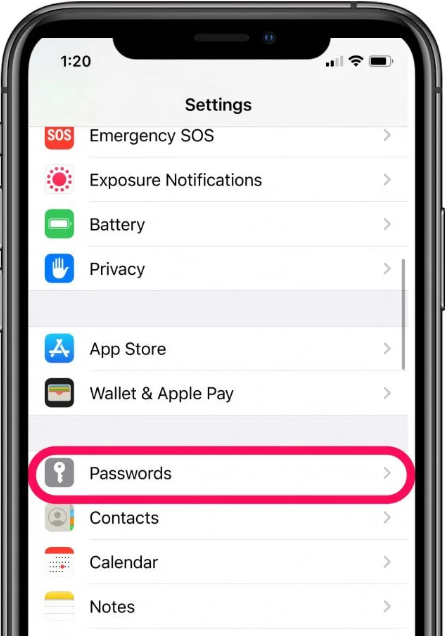 How to View Saved Passwords on iPhone iOS 14? 4 How to View Saved Passwords on iPhone iOS 14? 3
