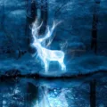 Everything you need to know about Patronus Test 6