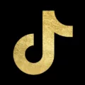 How To Download All My Tiktok Videos At Once 15