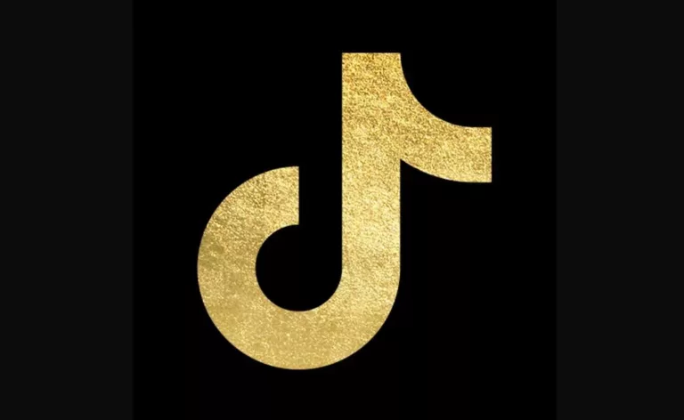 How To Download All My Tiktok Videos At Once 5