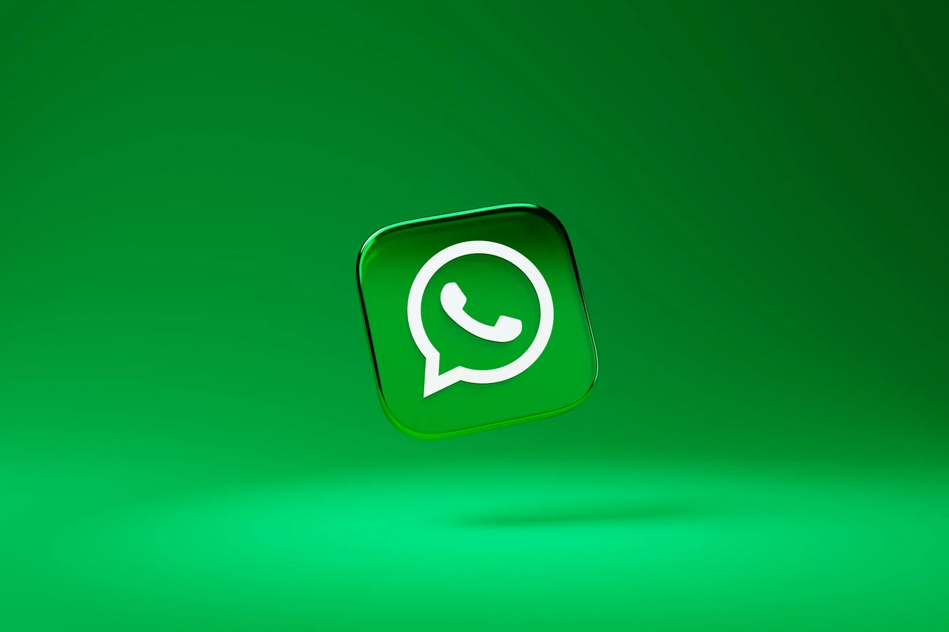 Can You Put A GIF On WhatsApp DP? - DeviceMAG