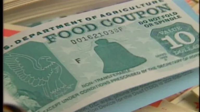 food stamps
