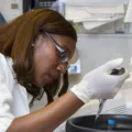 lab