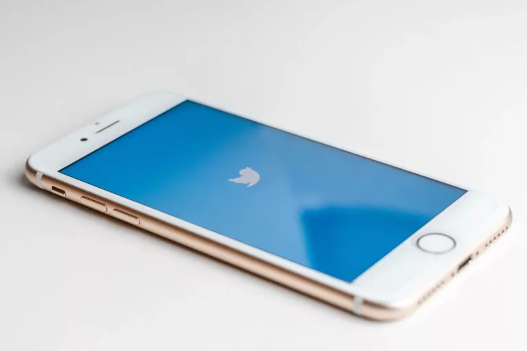 What You Need to Know About Screenshotting Tweets 7