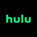 Facts About Your Hulu Password & Account Security 10