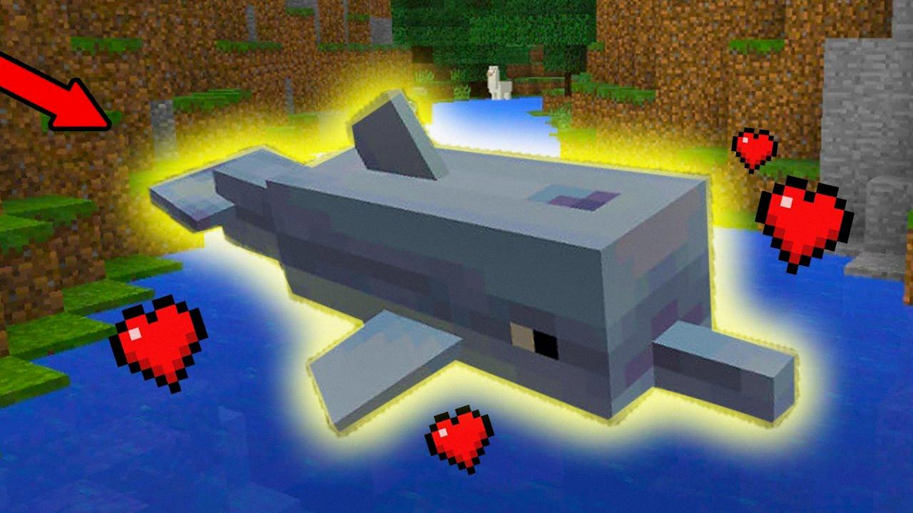 31 Facts About Minecraft - Dolphins - DeviceMAG