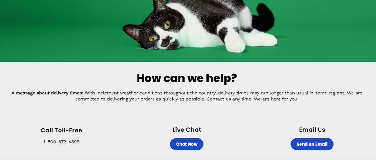 How Do I Return Something To Chewy? 3