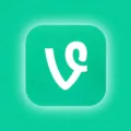 vine