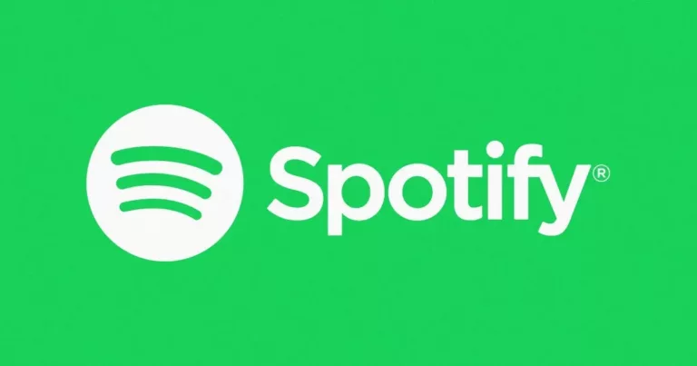 How To Add Spotify Family Member 7