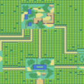 A Guide to the Safari Zone in Fire Red 17