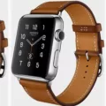 Apple Hermes Watch Face - 23 Question Solved 15